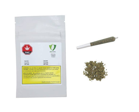 Critical Orange Punch Pre-Roll