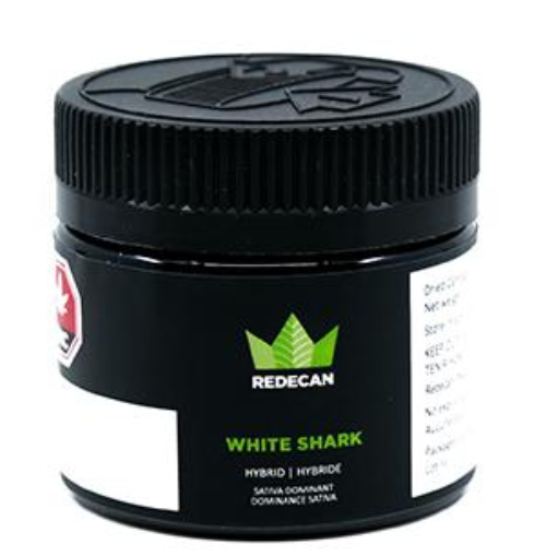 White Shark