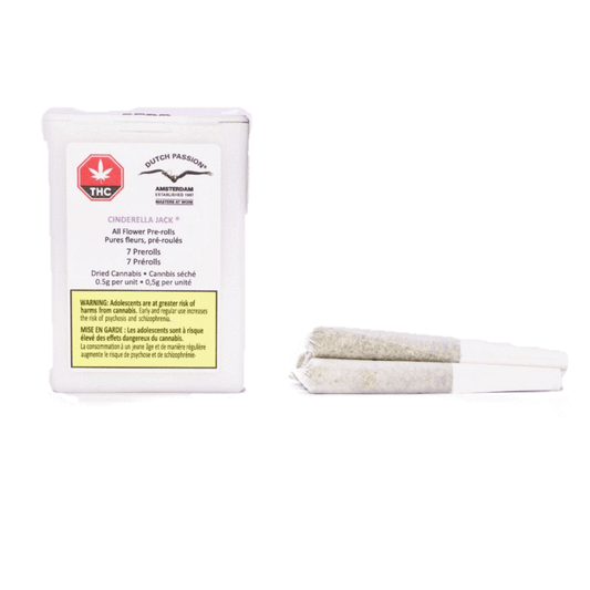 Cindy Jack Pre-Roll