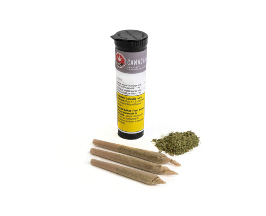 Blend 19% Pre-Roll