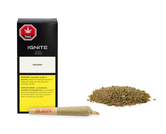 Crescendo Pre-Roll